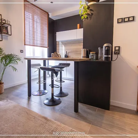 F2 Grand Standing Apartment Cannes